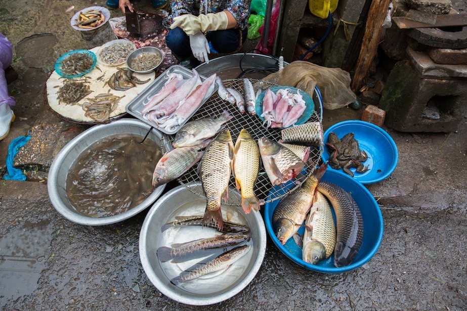 Local Fish Market in Hanoi