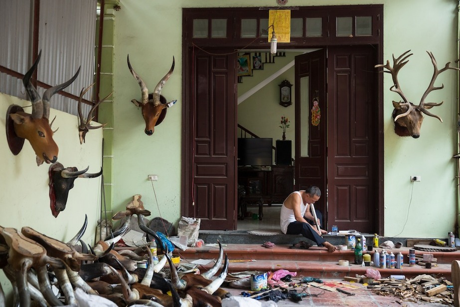 Horn Village Hanoi Vietnam