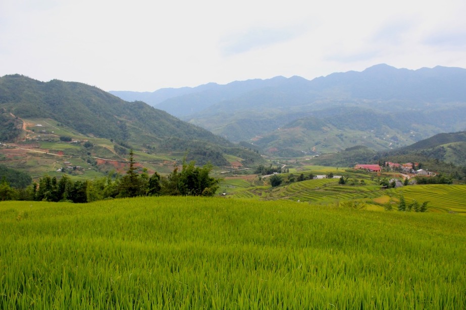 Sapa Northern Vietnam Hills